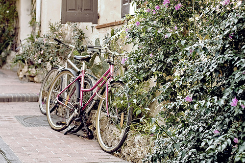 Vélo à Antibes by sallyheis