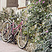 Vélo à Antibes par sallyheis - Antibes 06600 Alpes-Maritimes Provence France