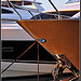 Riviera - moored by Beriadan - Antibes 06160 Alpes-Maritimes Provence France