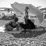 The lady and three dogs par Lenny Farmer - Cagnes sur Mer 06800 Alpes-Maritimes Provence France