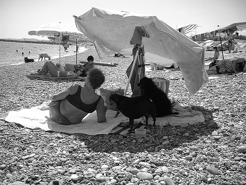 The lady and three dogs par Lenny Farmer