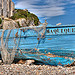 Vieille barque bleue sur l'Ile Sainte-Margherite. par lucbus - Cannes 06400 Alpes-Maritimes Provence France