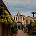 Ile Saint-Honorat ; abbaye et monastère par david.chataigner - Cannes 06400 Alpes-Maritimes Provence France