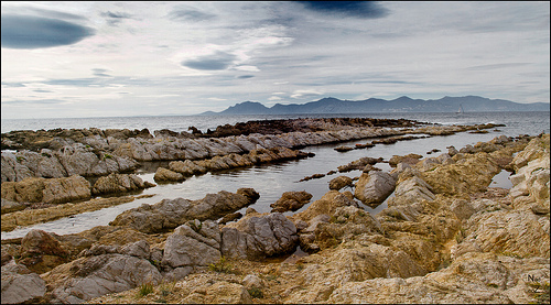 Recif de l'ïle Saint Honorat by skol-louarn