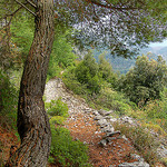Tapissé - Castellar (06) by Charlottess - Castellar 06500 Alpes-Maritimes Provence France
