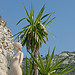 Jardin botanique d'Èze par pizzichiniclaudio - Eze 06360 Alpes-Maritimes Provence France