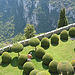 Gourdon's Garden - Provence - France by Feuillu - Gourdon 06620 Alpes-Maritimes Provence France