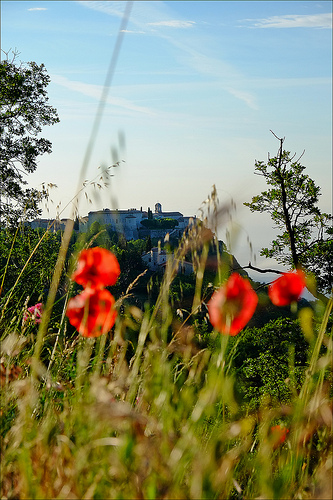 Gourdon dominant ses coquelicots by Andrey Tonnelier