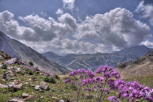 Le col de la Lombarde et la valée de la tinée by chatka2004