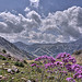 Le col de la Lombarde et la valée de la tinée par chatka2004 - Isola 06420 Alpes-Maritimes Provence France