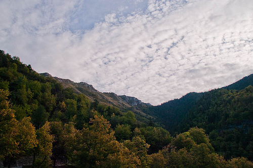 Col de Turini dans le Mercantour by jdufrenoy