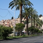 Les palmiers de Menton by Serena Passerotti - Menton 06500 Alpes-Maritimes Provence France