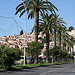 Les palmiers de Menton by Serena Passerotti - Menton 06500 Alpes-Maritimes Provence France