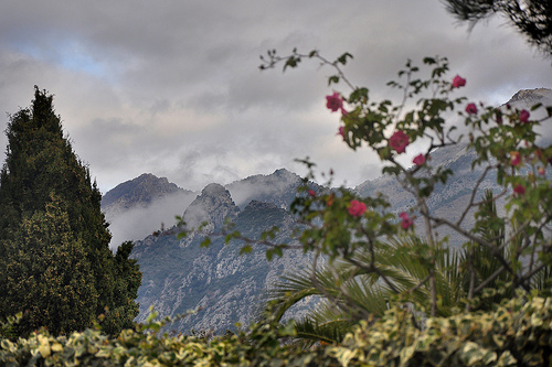 Paysage à la rose - Menton par Charlottess