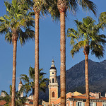 Palmiers et clocher - Menton by Charlottess - Menton 06500 Alpes-Maritimes Provence France