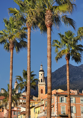 Palmiers et clocher - Menton par Charlottess