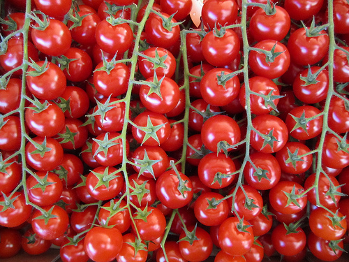 Tomates grappe - Marché Cours saleya by JakeAndLiz