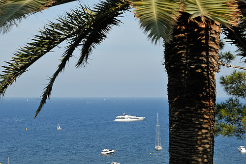 La côte d'azur : palmier, yatch et mer bleue by pizzichiniclaudio