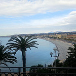 Nice beach, palm by JB photographer - Nice 06000 Alpes-Maritimes Provence France