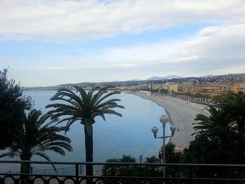 Nice beach, palm by JB photographer