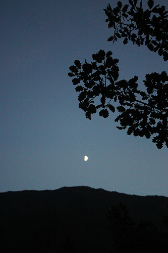 Moonlight of September par Sokleine