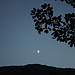Moonlight of September par Sokleine - Puget Theniers 06260 Alpes-Maritimes Provence France