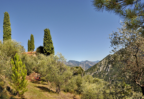 Ambiance du sud à Sospel par Charlottess