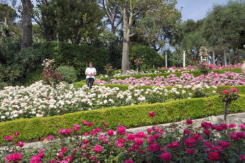 La Roseraie de la Villa Ephrussi de Rothschild par M Barbéro