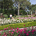 La Roseraie de la Villa Ephrussi de Rothschild par M Barbéro - St. Jean Cap Ferrat 06230 Alpes-Maritimes Provence France