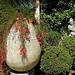 Jardin, villa Rothchild by motse@yahoo.com - St. Jean Cap Ferrat 06230 Alpes-Maritimes Provence France