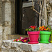 Couleurs - Saint-Paul de Vence by sallyheis - Saint-Paul de Vence 06570 Alpes-Maritimes Provence France