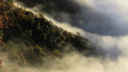 Ambiance chasse - Randonnée, en boucle, au départ du Village de Thiery par bernard BONIFASSI