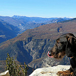 La vallée du Var, les Gorges du Cians by bernard BONIFASSI - Thiery 06710 Alpes-Maritimes Provence France