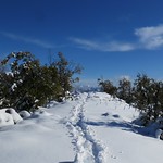 Belles traces by bernard BONIFASSI - Thiery 06710 Alpes-Maritimes Provence France