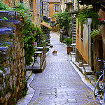 Ruelle à Tourrettes-sur-Loup, Provence by marty_pinker - Tourrettes sur Loup 06140 Alpes-Maritimes Provence France