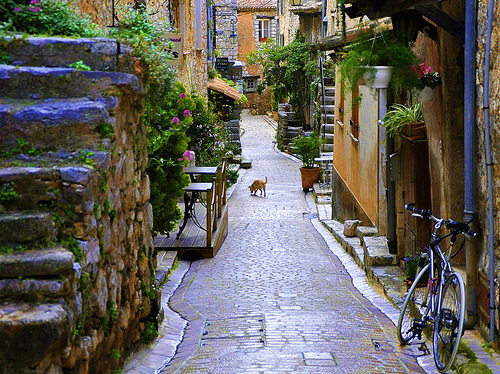 Ruelle à Tourrettes-sur-Loup, Provence by marty_pinker