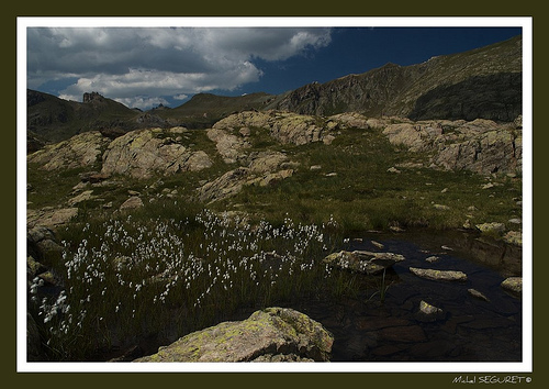 Lac des Vens - dans le Parc du Mercantour by michel.seguret