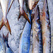 Fish market par krissdefremicourt - Villefranche-sur-Mer 06230 Alpes-Maritimes Provence France