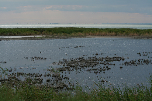 Camargue - La Capelière  par nonsolofoto.g