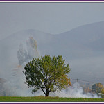 Matinée d'automne au pied de Lure by Rhansenne.photos - Banon 04150 Alpes-de-Haute-Provence Provence France