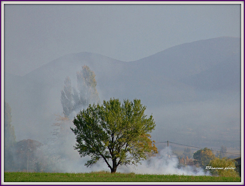 Matinée d'automne au pied de Lure by Rhansenne.photos