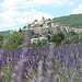 Banon entouré de lavande by UniqueProvence - Banon 04150 Alpes-de-Haute-Provence Provence France