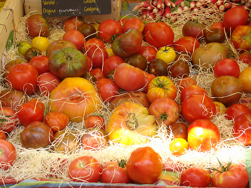 Tomates d'origine de Provence by UniqueProvence