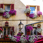 Symphonie en fleurs sur facade by CTfoto2013 - Barcelonnette 04400 Alpes-de-Haute-Provence Provence France