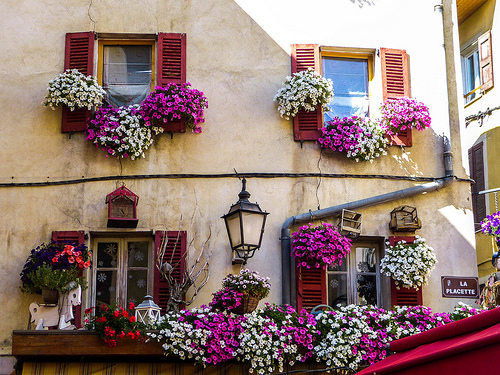 Symphonie en fleurs sur facade by CTfoto2013