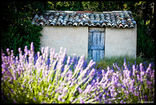 Cabanon provençal by Michel-Delli