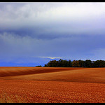 Les champs à perte de vue du Plateau de Valensole par J.P brindejonc - Brunet 04210 Alpes-de-Haute-Provence Provence France