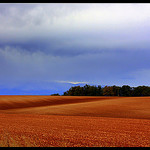 Les champs à perte de vue du Plateau de Valensole by J.P brindejonc - Brunet 04210 Alpes-de-Haute-Provence Provence France