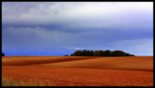 Les champs à perte de vue du Plateau de Valensole by J.P brindejonc