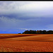 Les champs à perte de vue du Plateau de Valensole par J.P brindejonc - Brunet 04210 Alpes-de-Haute-Provence Provence France